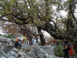 08. pauza samo za slikanje